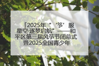 2025年“‘筝’服星空·逐梦启航”——和平区第三届风筝节闭幕式 暨2025全国青少年风筝制作放飞赛（沈阳站）颁奖仪式