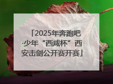 2025年奔跑吧·少年“西咸杯”西安击剑公开赛开赛