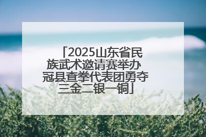 2025山东省民族武术邀请赛举办 冠县查拳代表团勇夺三金二银一铜