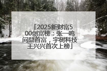 2025新财富500创富榜：张一鸣问鼎首富，宇树科技王兴兴首次上榜