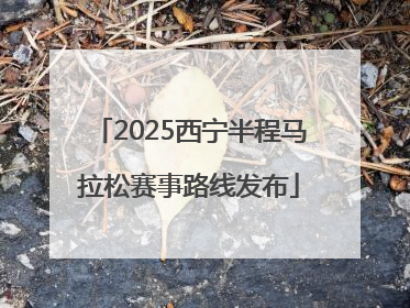 2025西宁半程马拉松赛事路线发布