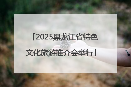 2025黑龙江省特色文化旅游推介会举行