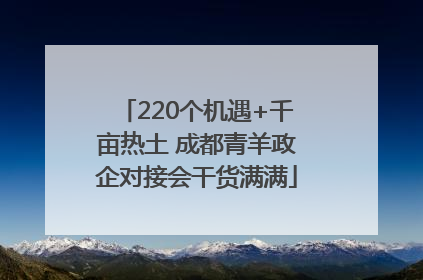 220个机遇+千亩热土 成都青羊政企对接会干货满满