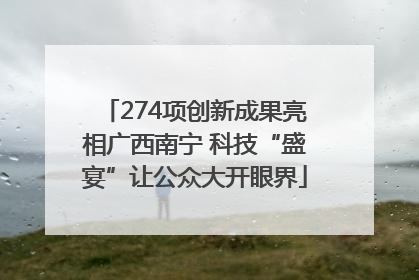 274项创新成果亮相广西南宁 科技“盛宴”让公众大开眼界