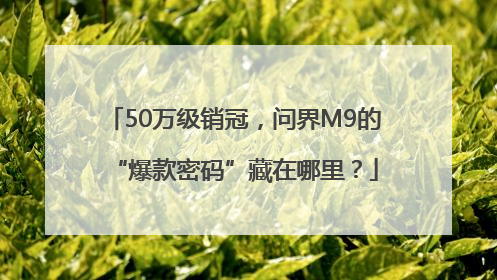 50万级销冠，问界M9的“爆款密码”藏在哪里？