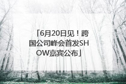 6月20日见！跨国公司峰会首发SHOW嘉宾公布