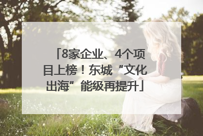 8家企业、4个项目上榜！东城“文化出海”能级再提升