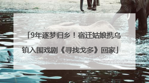 9年逐梦归乡！宿迁姑娘携乌镇入围戏剧《寻找戈多》回家