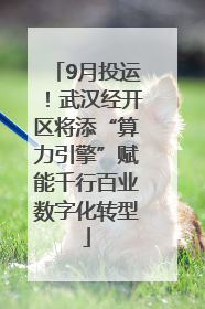 9月投运！武汉经开区将添“算力引擎”赋能千行百业数字化转型