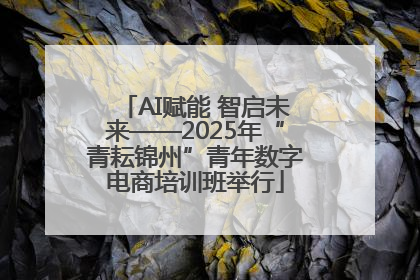 AI赋能 智启未来——2025年“青耘锦州”青年数字电商培训班举行